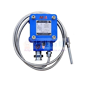 BHD2-10/127-2T 矿用隔爆型低压电缆接线盒